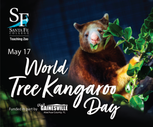 Santa Fe College Tree Kangaroo Day 2026 Santa Fe College Tree Kangaroo Day